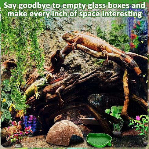 32 Pcs Bearded Dragon Tank Accessories Reptile Hammock Coconut Shell Nest Jungle Climber Vines Terrarium Branch Plant Feeder Habitat Decor for Hiding Climbing Snake Gecko Lizard Chameleon in Saudi Arabia