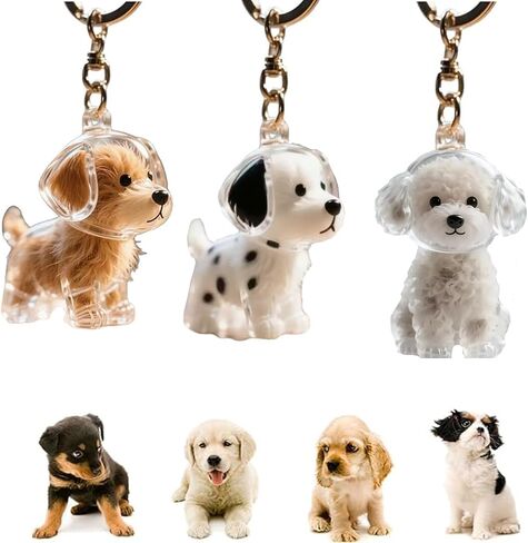 6pcs Cat Fur Storage Bottle Cat Hair Keychain, Transparent Cat Hair Storage Box Pendants, Capsule Toys Pet Hair Container, Collection Cat Hair Keychain Bottle in Saudi Arabia
