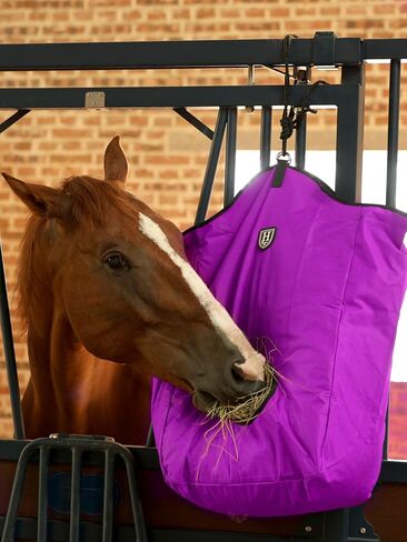 Harrison Howard Premium Date Horse Hay Bag Slow Feed Hay Bag مقاومة للماء حمل حصان كبير 3pcs الأرجواني in Saudi Arabia