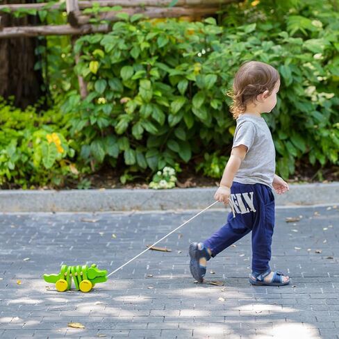 PlanToys Penguin Wheelie Push Toy for Toddlers - Sustainably Made from Rubberwood Featuring Organic-Pigment Coloring and Water-Based Dyes with Waddling Action When Pushed in Saudi Arabia
