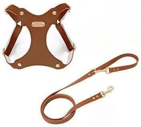 تسخير قطة Loudik Leather Cat ومجموعة المقود ، 6 ألوان متوفرة ، سترة قابلة للتعديل للحيوانات الأليفة مع القوس ، مقاومة للماء ، أحجام S/M ، مقود 120 سم (مجموعة كاملة - بني ، M （6-10 كجم）) in Kuwait