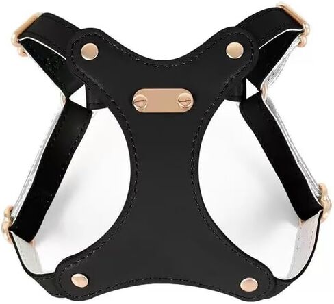 تسخير قطة Loudik Leather Cat ومجموعة المقود ، 6 ألوان متوفرة ، سترة قابلة للتعديل للحيوانات الأليفة مع القوس ، مقاومة للماء ، أحجام S/M ، مقود 120 سم (مجموعة كاملة - بني ، M （6-10 كجم）) in Kuwait