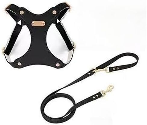 تسخير قطة Loudik Leather Cat ومجموعة المقود ، 6 ألوان متوفرة ، سترة قابلة للتعديل للحيوانات الأليفة مع القوس ، مقاومة للماء ، أحجام S/M ، مقود 120 سم (مجموعة كاملة - بني ، M （6-10 كجم）) in Kuwait