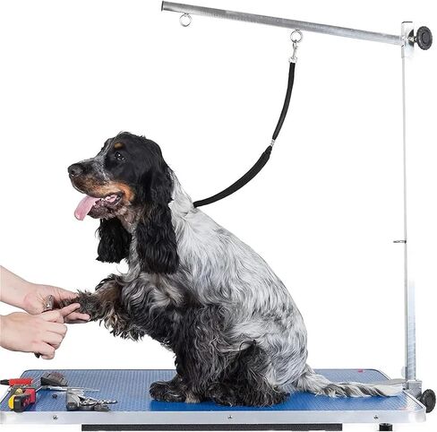 Pet Dog Cat Loop Lock Clip Rope for Goorming Table Arm Bath Leash يؤدي in Kuwait