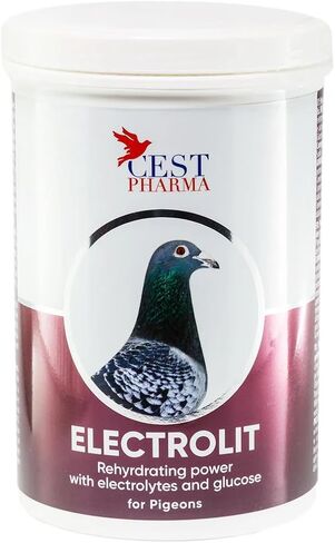 Cest Electrolit - Electrolytes w/Glucose for Pigeons in Saudi Arabia