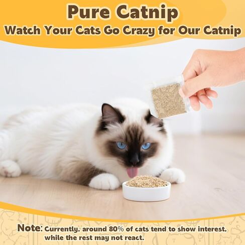 80pcs catnip - cat nip for cats catnip المجفف الطبيعي يعالج قمة القطط مثالية للألعاب ، والمكافآت التدريبية ، وتخفيف الإجهاد ، وحزمة أكياس محصودة حديثًا ، 2.8 أوقية in Saudi Arabia