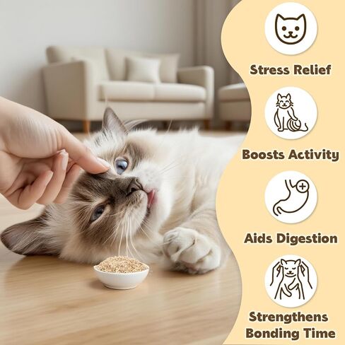 80pcs catnip - cat nip for cats catnip المجفف الطبيعي يعالج قمة القطط مثالية للألعاب ، والمكافآت التدريبية ، وتخفيف الإجهاد ، وحزمة أكياس محصودة حديثًا ، 2.8 أوقية in Saudi Arabia