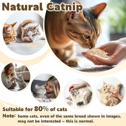 80pcs catnip - cat nip for cats catnip المجفف الطبيعي يعالج قمة القطط مثالية للألعاب ، والمكافآت التدريبية ، وتخفيف الإجهاد ، وحزمة أكياس محصودة حديثًا ، 2.8 أوقية in Saudi Arabia