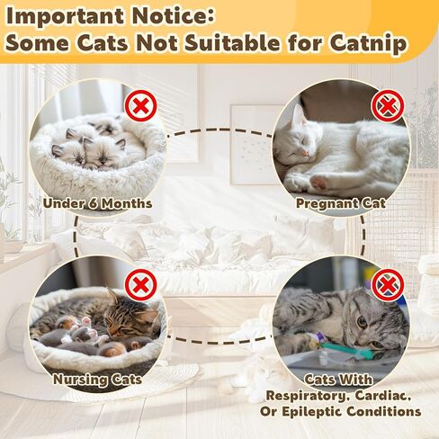 80pcs catnip - cat nip for cats catnip المجفف الطبيعي يعالج قمة القطط مثالية للألعاب ، والمكافآت التدريبية ، وتخفيف الإجهاد ، وحزمة أكياس محصودة حديثًا ، 2.8 أوقية in Saudi Arabia