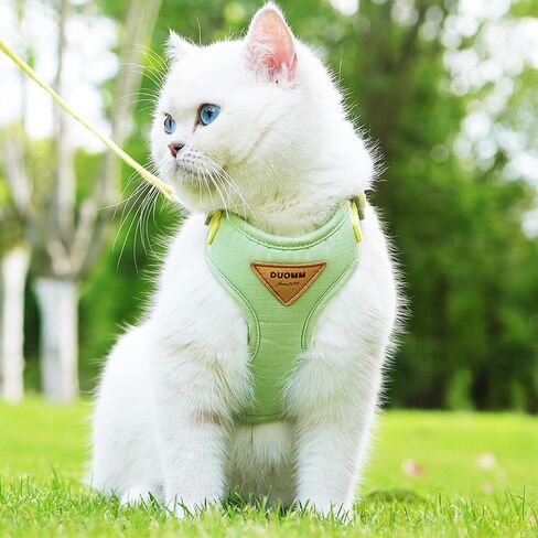 Escape-Proof Cat Harness and Leash Set - Adjustable and Comfortable - Ideal for Walking Cat Outdoors - Fits Kittens, Medium, and Large Cats (Green, S) in Kuwait