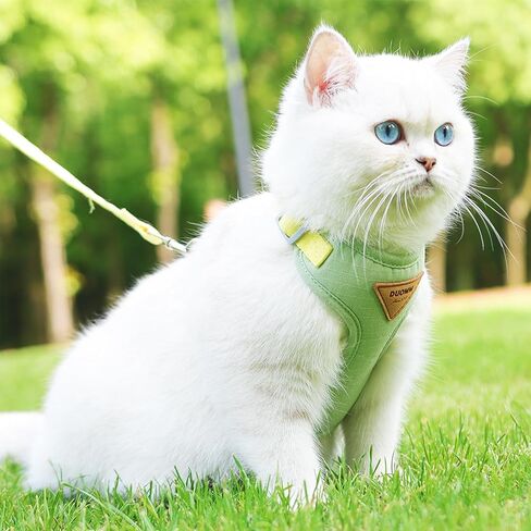 Escape-Proof Cat Harness and Leash Set - Adjustable and Comfortable - Ideal for Walking Cat Outdoors - Fits Kittens, Medium, and Large Cats (Green, S) in Kuwait