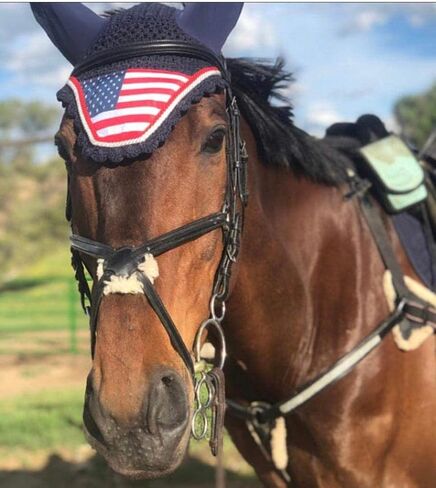 Navy Blue Horse/Full USA American Flag All Guphing English Saddle Pad with Fly Bonnet Bonnet Net Net Fly Veil ، Full/Horse in Kuwait