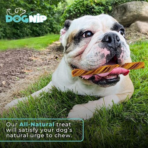 Dog Nip! 12" Tripe Twists - Crunchy Snack - Natural Grass Fed Organic Beef - Rawhide Alternative - Promotes Dental Health - Fully Digestible - Healthy Dog Treat Chews… in Kuwait
