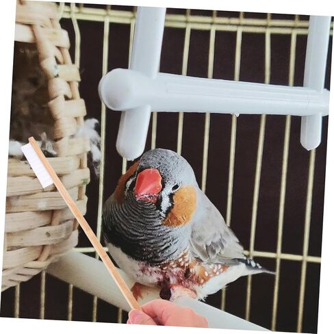 Bestonzon 2PCS Bird Cage Cleaning Brush مجموعة فضلات فعالة Scoop Multi Function Cleaning Tool لأقفال الحيوانات الأليفة الصغيرة ملحقات متينة سهلة الاستخدام لرعاية الطيور in Kuwait