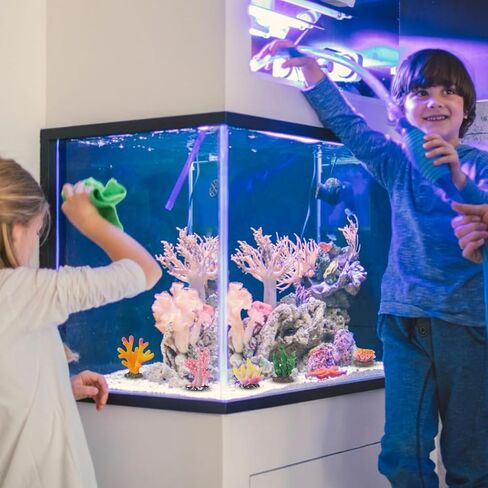 16 PCS ديكور الشعاب المرجانية ، ديكورات خزان الأسماك الملونة ، مرجان نجم البحر الاصطناعي لزخارف خزان السمك للمناظر الطبيعية للأحياء ، إكسسوارات الديكورات المائية in Kuwait