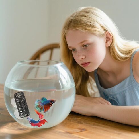 2PCS TUNNEL BETTA - ألعاب السمك الأسود Betta ، إكسسوارات خزان الأسماك الآمنة Bettas ، Bettas Hideout للأسماك الصغيرة والروبيان in Saudi Arabia