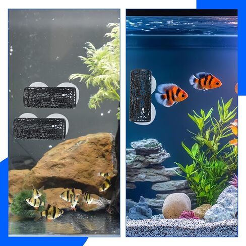 2PCS TUNNEL BETTA - ألعاب السمك الأسود Betta ، إكسسوارات خزان الأسماك الآمنة Bettas ، Bettas Hideout للأسماك الصغيرة والروبيان in Saudi Arabia