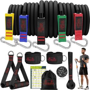Resistance Bands for Working Out - Exercise Bands for Men and Women, Workouts Bands with Handle, Elastic Bands for Physical Therapy, Home Gym, Strength Training Equipment