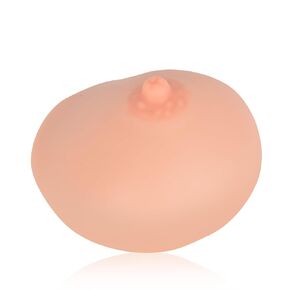 Lactation Breast Model, Artificial Breast for Breastfeeding, Silicone Breast Model for Education, Lactating Teaching Tool, Nursing Training, White