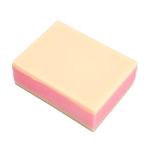 Suture Training Model, Silicon Skin Suture Pad Refill Suture Practice Pad for Suture Kit, 2 Silicone Skin Layers Surgical Skin Injection Practice Pad for Students Doctors