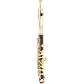 Easy to store Piccolo Piccolo C Piccolo, Flautin for flute learning students, beginners. (Gold)