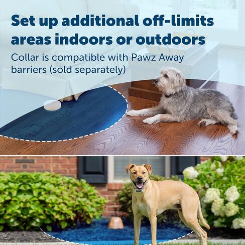PetSafe Classic In-Ground Fence for Dogs and Cats - from The Parent Company of Invisible Fence Brand - Includes 500 ft of Wire - Expandable Coverage up to 5 Acres in Saudi Arabia