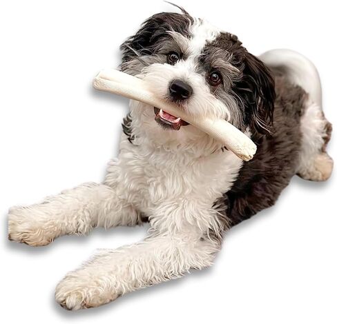 Cowdog Chews Beefhide Roll (7-8 inch) Long Lasting Dog Treat Bone, Great for Dental Health and Aggressive Chewers (20 Count) in Saudi Arabia