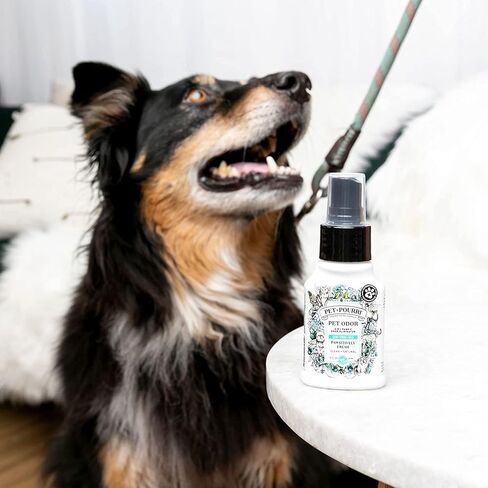 Pet-Pourri Pawsitively Fresh Pet Odor Freshener Bundle - 16 Fl Oz and 1.4 Fl Oz Air + Fabric Odor Freshener Spray, and 7.5 Oz Pet Odor Freshener Candle – Jasmine, Fresh Air and Pear in Saudi Arabia