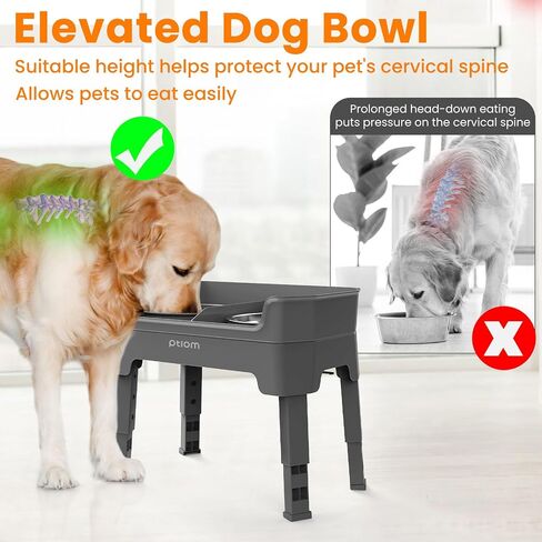 3-in-1 Elevated Dog Bowls Mess Proof Raised Slow Feeder Dog Bowls, 4 Height Adjustable Dog Bowl Stand Licking Plate with 2 56oz Stainless Steel Dog Food Bowls for Small Medium Large Dogs Pets in Saudi Arabia