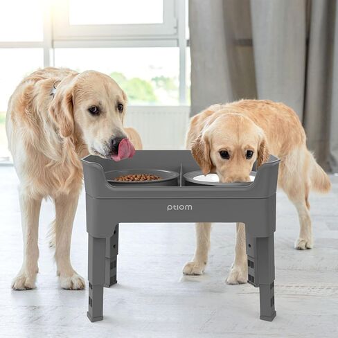 3-in-1 Elevated Dog Bowls Mess Proof Raised Slow Feeder Dog Bowls, 4 Height Adjustable Dog Bowl Stand Licking Plate with 2 56oz Stainless Steel Dog Food Bowls for Small Medium Large Dogs Pets in Saudi Arabia