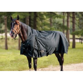 Country Pary Paladin High Neck Thinout Sheet (78) in Kuwait