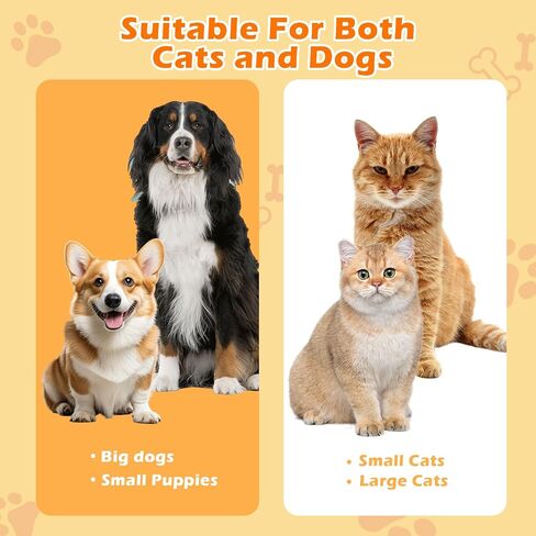 Dog Toothbrush, Dogs Tooth Brushing Kit, Cat Tooth Brush for Small to Large Dogs & Puppies, 2Pack Double Finger Toothbrush for Dog Teeth 360 Cleaning & Dental Care in Saudi Arabia