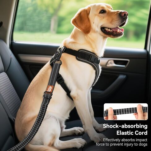 حزام مقعد الكلب ، حزام مقعد للكلب ، حزام مقعد ، تسخير سيارة للحيوانات الأليفة مع إبزيم وربط الخطاف ، مركبة مقود أمان ، حبل مركبة للحيوانات الأليفة القابلة للتعديل ، قفل دوارة 360 درجة ، أسود in Kuwait