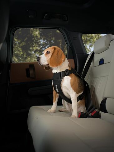 Thule Cappy Dog Harness L - Crash-Tested for Safety - Seatbelt passthrough - Adjustable & Easy to Clean - Padded Breathable mesh Panels - Leash Loop - Step-in Design in Saudi Arabia