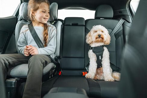 Thule Cappy Dog Harness L - Crash-Tested for Safety - Seatbelt passthrough - Adjustable & Easy to Clean - Padded Breathable mesh Panels - Leash Loop - Step-in Design in Saudi Arabia
