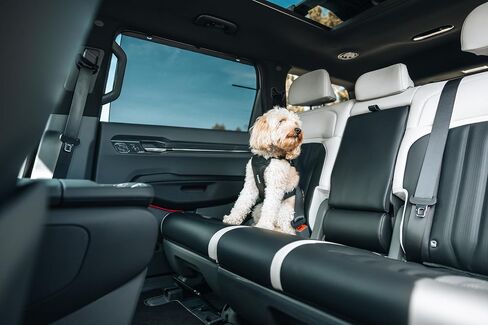 Thule Cappy Dog Harness L - Crash-Tested for Safety - Seatbelt passthrough - Adjustable & Easy to Clean - Padded Breathable mesh Panels - Leash Loop - Step-in Design in Saudi Arabia