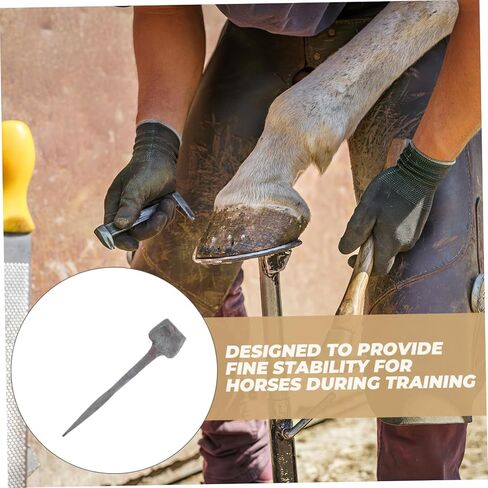 MERRYHAPY 20PCS HORSE HOOF TOMES TOMESTS HORSESHOE NAILS IRON HORSHOE ASCESSORIES HORSE HOOF REPAR in Saudi Arabia