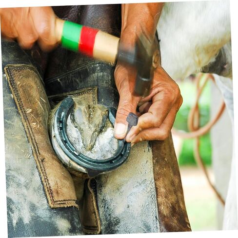 MERRYHAPY 20PCS HORSE HOOF TOMES TOMESTS HORSESHOE NAILS IRON HORSHOE ASCESSORIES HORSE HOOF REPAR in Saudi Arabia