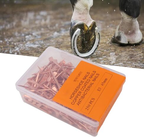 TOPINCN Copper Plated Horseshoe Nails, 250Pcs Professional Equestrian Riding Equipment Pet Supplies, Rustproof and Durable, Suitable for Normal Nails, Equipped with Plastic Storage Box (51mm E5) in Saudi Arabia