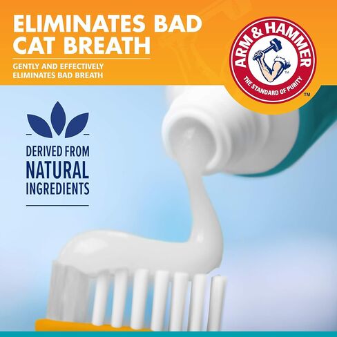 Arm & Hammer Cat Dental Kit - Toothbrush, Toothpaste and Oral Care for Kittens with Tuna and Fresh Mint Flavors in Saudi Arabia