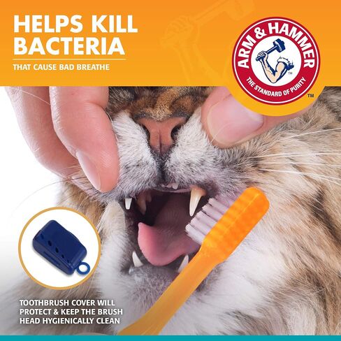 Arm & Hammer Cat Dental Kit - Toothbrush, Toothpaste and Oral Care for Kittens with Tuna and Fresh Mint Flavors in Saudi Arabia