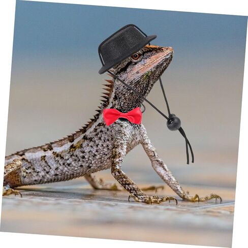 VICASKY Adjustable Lizard Harness Leash with Bearded Dragon Bow Tie and Top Hat Reptile Outdoor Leash Kit for Pets Cloth Material for Halloween Parties and Travel in Saudi Arabia