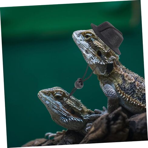 VICASKY Adjustable Lizard Harness Leash with Bearded Dragon Bow Tie and Top Hat Reptile Outdoor Leash Kit for Pets Cloth Material for Halloween Parties and Travel in Saudi Arabia