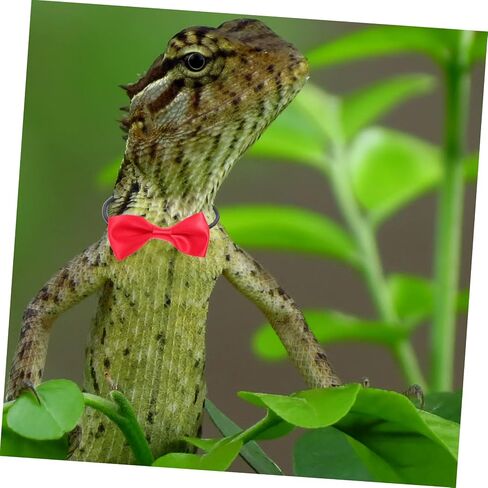 VICASKY Adjustable Lizard Harness Leash with Bearded Dragon Bow Tie and Top Hat Reptile Outdoor Leash Kit for Pets Cloth Material for Halloween Parties and Travel in Saudi Arabia