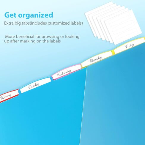 WOT I 8-TAB Binder Dividers مع جيب أمامي واضح-3 مجموعات ، فواصل جيب بلاستيكية قابلة لإعادة الاستخدام لثلاثة رنين ، 4 ألوان نابضة بالحياة ، مقاومة للدموع ، إجمالي 24 علامات تبويب in Kuwait