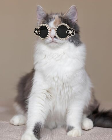 Hosiwei Camellia Diamonds Pet Sunglasses للكلاب/القطط الصغيرة والمتوسطة - نظارات أزياء لطيفة للحفلات ، عيد الهالوين ، عيد الميلاد - ملحق مضحك للملحقات للتقاط الصور (أسود ، صغير) in Kuwait