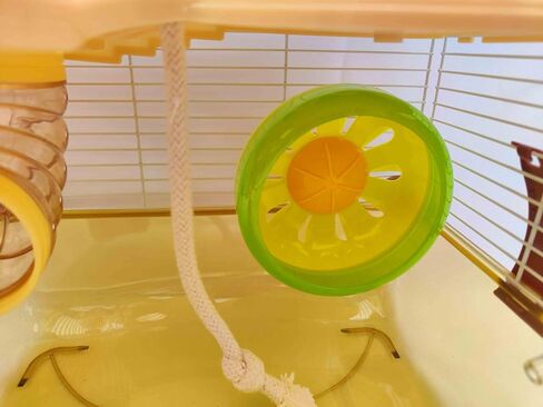 Petzhubo Hamster Cage Small Animal Cage 3 طبقات شفافة حجم القفص ： in Kuwait