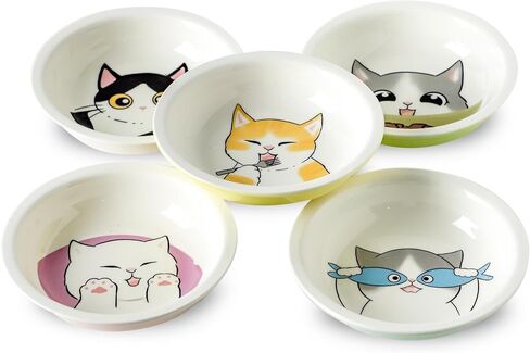 Ceramic Cat Bowls Set - 5.5 inch Wide Cat Food Bowl Whisker Fatigue Friendly, 5 Colorful Kitten Dish Plates with Cute Pattern for Wet and Dry Food Water and Small Pet in Kuwait