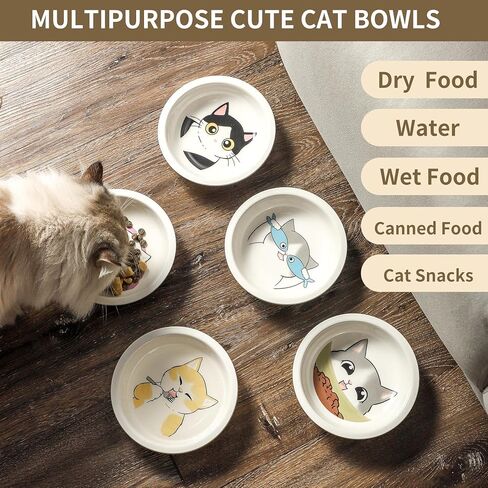 Ceramic Cat Bowls Set - 5.5 inch Wide Cat Food Bowl Whisker Fatigue Friendly, 5 Colorful Kitten Dish Plates with Cute Pattern for Wet and Dry Food Water and Small Pet in Kuwait