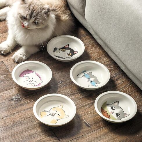 Ceramic Cat Bowls Set - 5.5 inch Wide Cat Food Bowl Whisker Fatigue Friendly, 5 Colorful Kitten Dish Plates with Cute Pattern for Wet and Dry Food Water and Small Pet in Kuwait